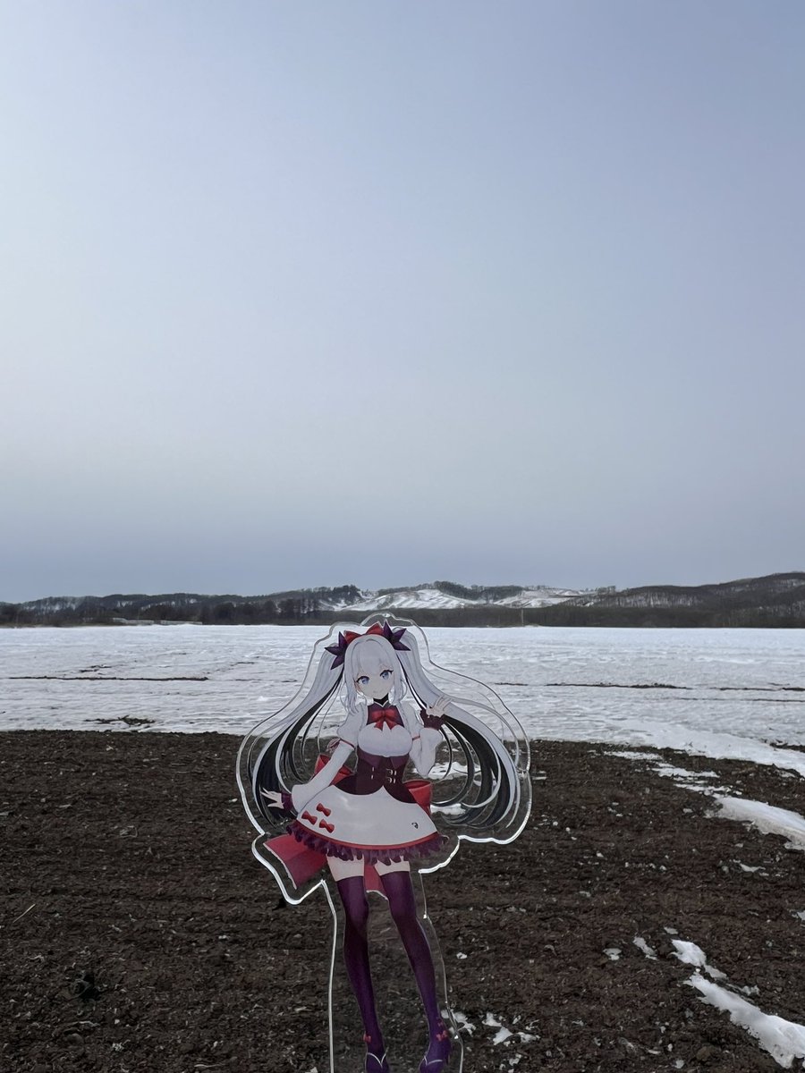 今日は曇りだったので久しぶりにゆっくり良い景色を探して村内をふらり♪秋にタンチョウがたくさん居たデントコーン畑は雪でまだ覆われています！しばらく続いた強風のせいで雪が飛ばされて土が見えてました！寒いけど土が見えると春を感じますね！でもまだまだ寒いです！ #鶴居村 #鶴居いづる