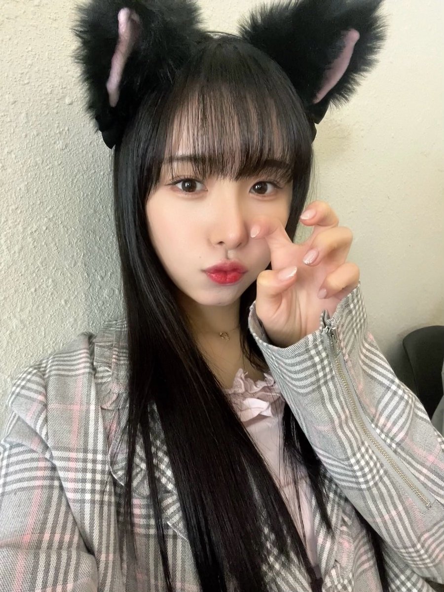 pinkfantasy_kr tweet picture