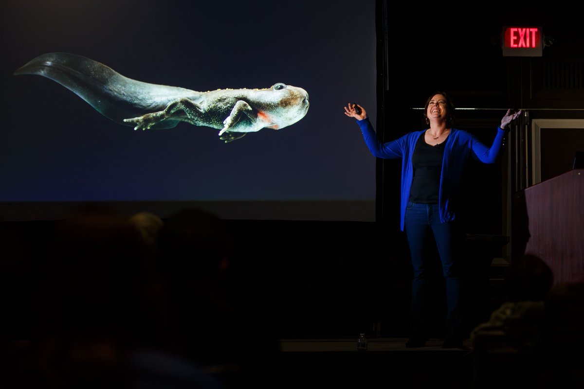 northernshort's tweet photo. Day two of the #NorthernShort was a smash! Our lecture series continued w/ two powerful photojournalists & advocates, @stephsinclair & @NikonUSA ambassador Kristi Odom. We raffled off a Nikon Zf & the excitement continued straight into our Print Swap sponsored by @CanonUSA! https://t.co/VrQecmb7KW