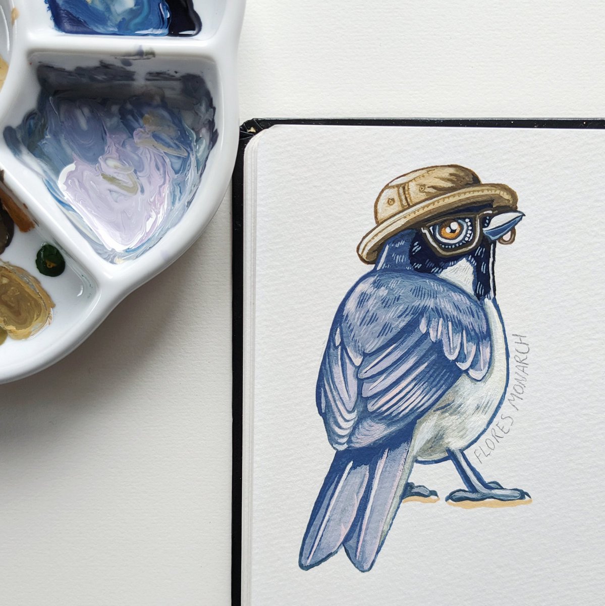 Painting a bird every morning during March because WHY NOT. 

First up is the 'Flores Monarch' - a lovely extremely endangered bird I spotted on a recent trip to Indonesia (wearing our bird guide Yovie's hat and glasses 🤓)