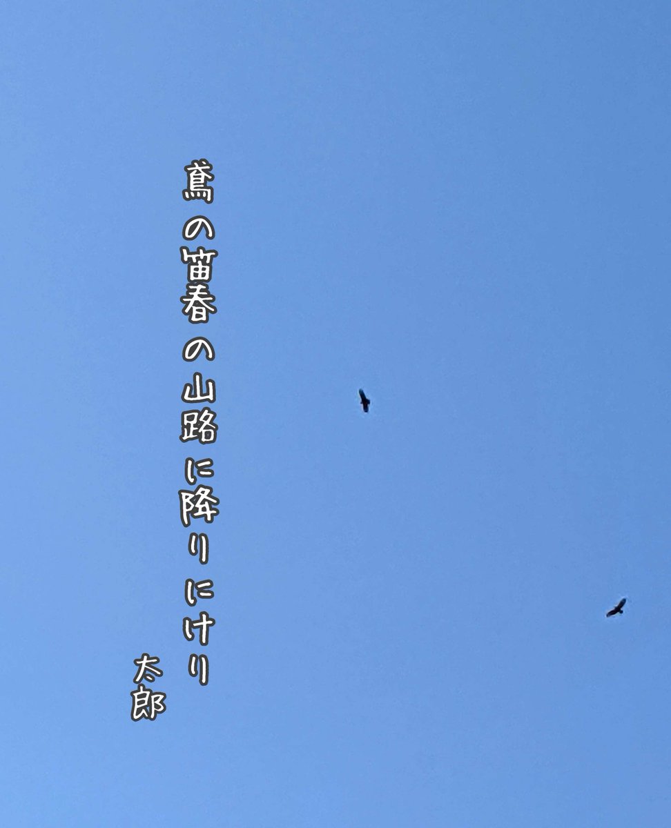 yokunugi's tweet photo. 鳶の笛春の山路に降りにけり
#俳句 #写真俳句 #春 #鳶の笛（鳶の鳴声） #山路 #連句は超楽しい #アルプス連句会 
kite song - 
falling down on 
spring mountain road 
#haïku #photoandhaiku #kitesong #springmountainroad https://t.co/FLu61o3FVW