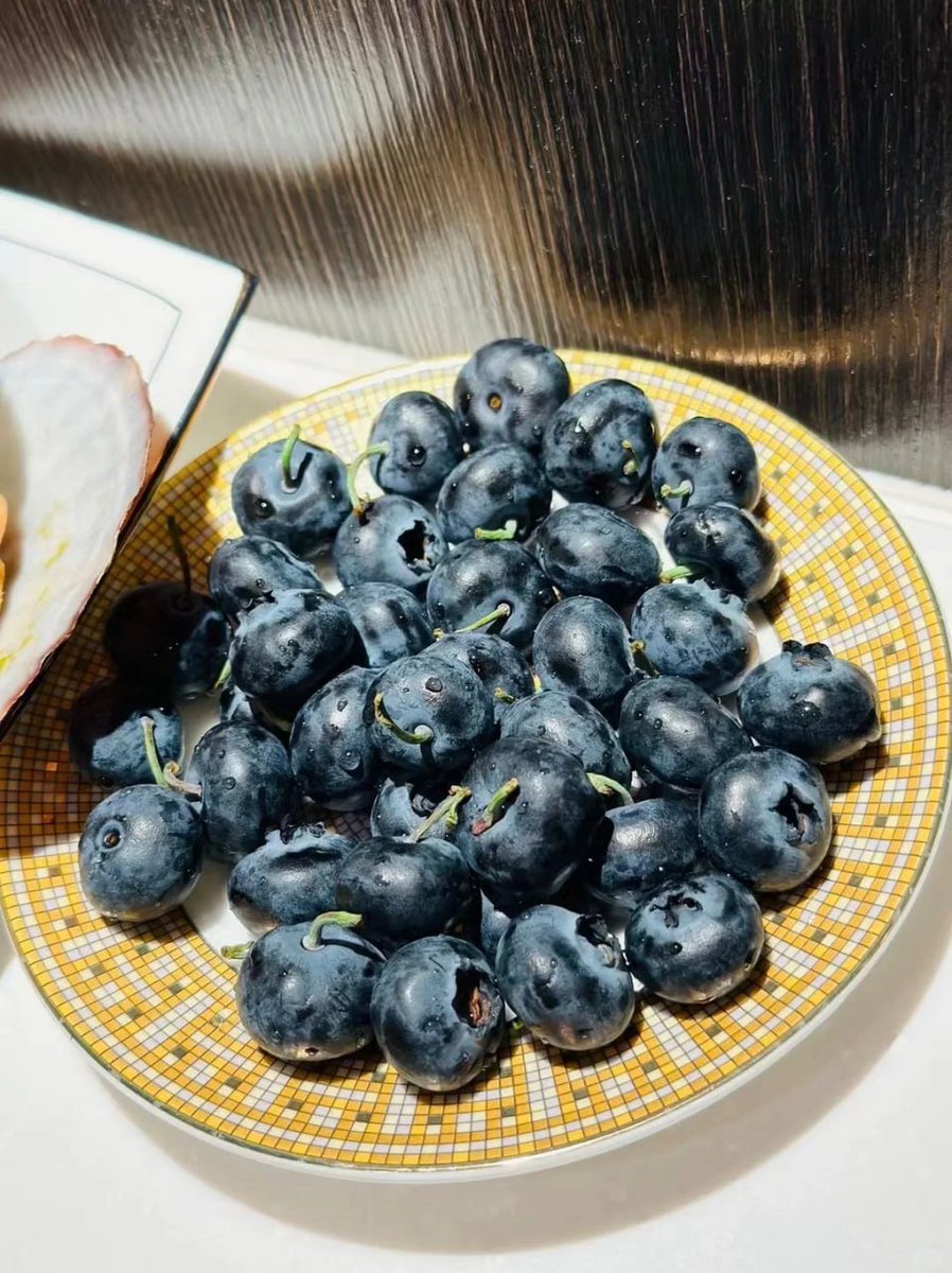 libontu's tweet image. Grape fruit