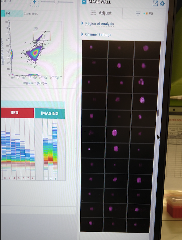 CCB Flow tweet media