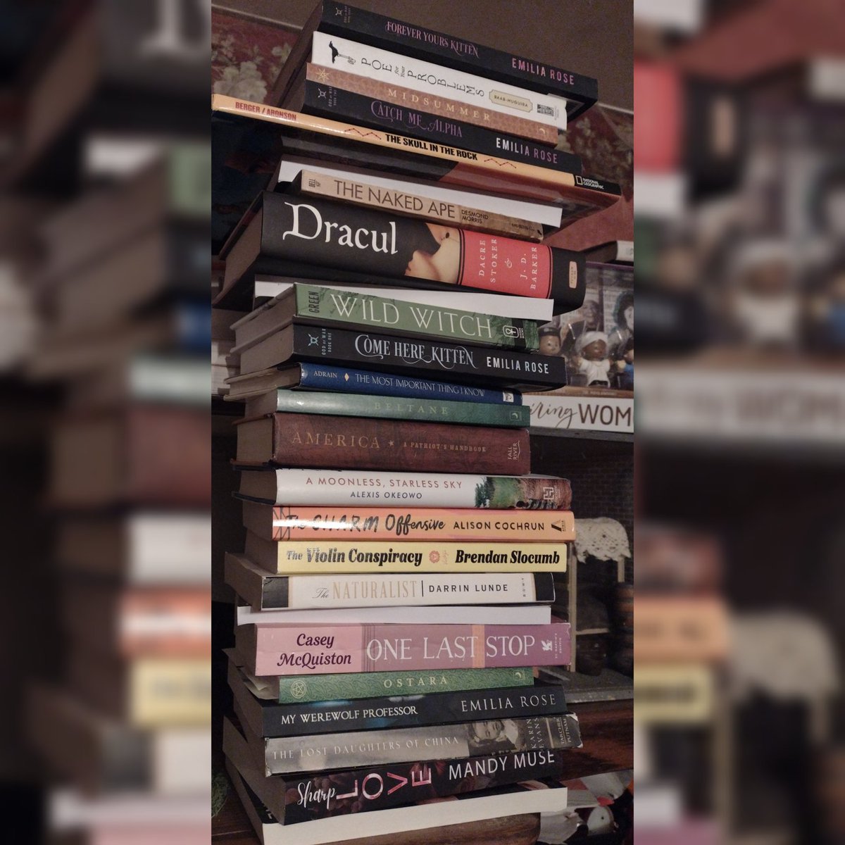 GertrudeBrooke's tweet photo. 25 books hath this #February
#shelfie #books #fiction #nonfiction #novel #historical #anthropology #paleoanthropology #mystery #romance #paranormal #werewolf #violins #witch #erotica #naturalist #naturalhistory #horror #series #UShistory #readmore #readsomething #growyourbrain https://t.co/L1QEy24RrD