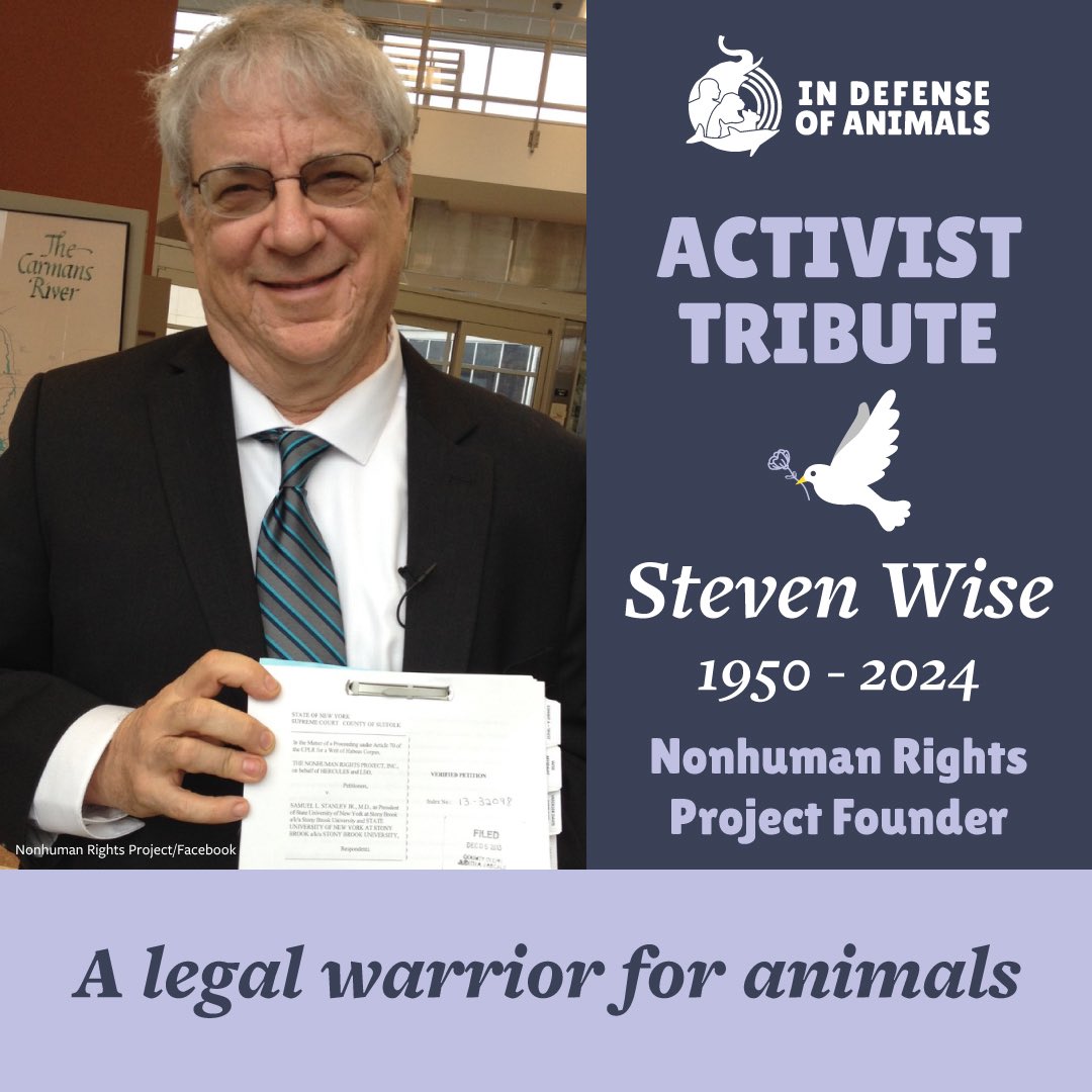 IDAUSA's tweet photo. We honor #NonhumanRightsProject founder Steven Wise with an #ActivistTribute for #ActivistAppreciationMonth. Steven was a legal warrior for animals with a mission to grant them personhood. #RIPStevenWise Find support: https://t.co/svCyxum9HB https://t.co/gYF7Jnwzqh