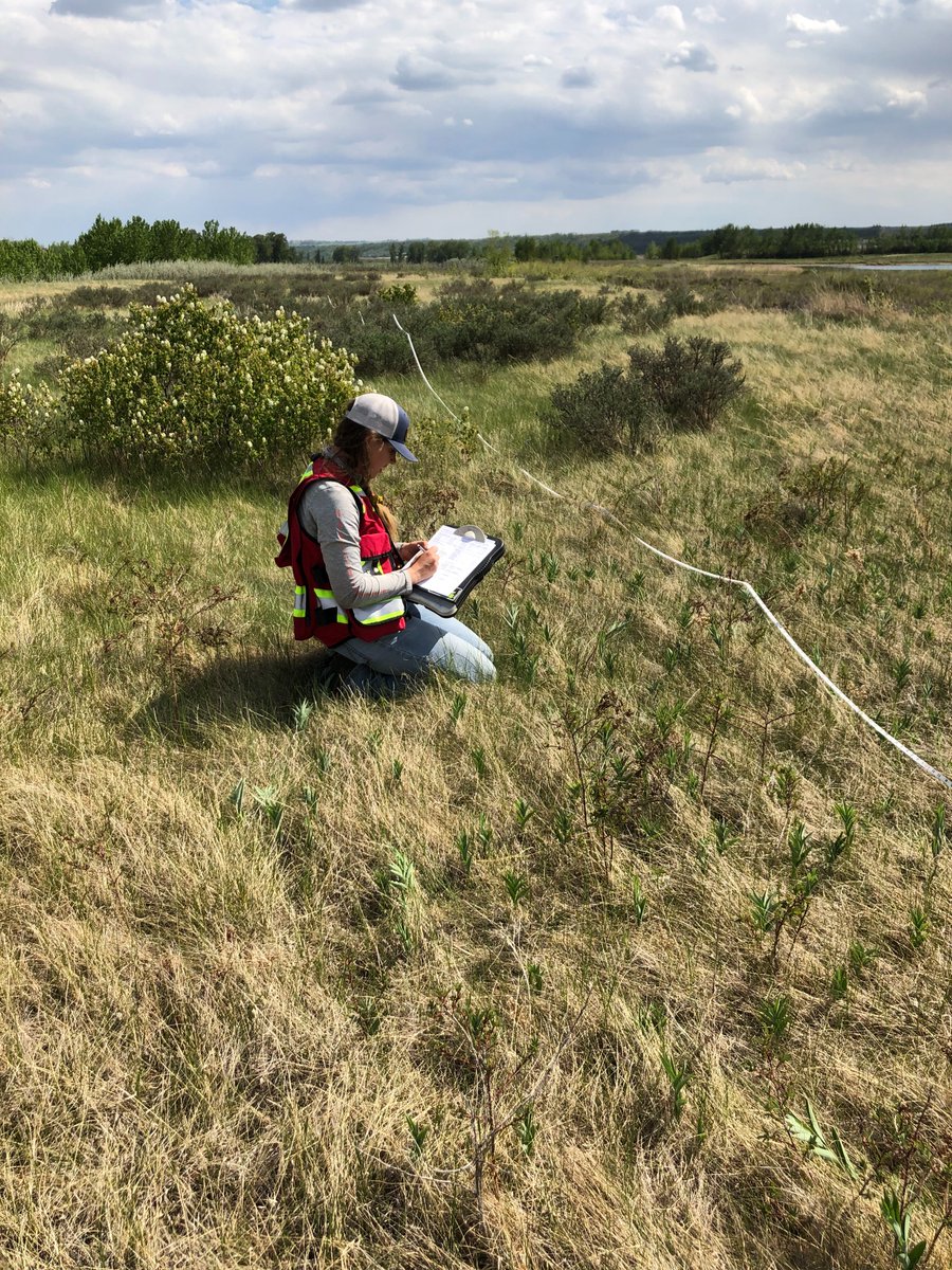 FishCreekPP's tweet photo. 📢 Big News! Thanks to Tannas Conservation Services, our comprehensive vegetation inventory is in!🌱 With improved insights on invasive species and ecosystem health, we're equipped to make even more informed decisions for the protection &amp; enhancement of Fish Creek 💚 @FishCreekPP https://t.co/Sv4bzlSLrj