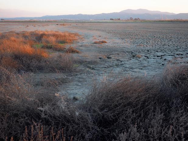 Bay Nature magazine (@baynature) on Twitter photo Mud-Starved Wetlands Get a Meal At Last
#Sanfranciscobay #wetlands are finally getting some precious muck, thanks to #wildbillions:
ow.ly/gE0050QJCNr
🖋️📸s: <a href="/sbennettbrandt/">Sonya Bennett-Brandt</a>
2 wetland 📸s: <a href="/meownderthal/">Kate Golden 🌈</a>
<a href="/ChristinaToms/">Christina Toms (@christinatoms.bluesky.social)</a> <a href="/sfei_asc/">SFEI - ASC</a> #baynature #mudismagic #climatesolutions Mud-Starved Wetlands Get a Meal At Last
#Sanfranciscobay #wetlands are finally getting some precious muck, thanks to #wildbillions:
ow.ly/gE0050QJCNr
🖋️📸s: <a href="/sbennettbrandt/">Sonya Bennett-Brandt</a>
2 wetland 📸s: <a href="/meownderthal/">Kate Golden 🌈</a>
<a href="/ChristinaToms/">Christina Toms (@christinatoms.bluesky.social)</a> <a href="/sfei_asc/">SFEI - ASC</a> #baynature #mudismagic #climatesolutions