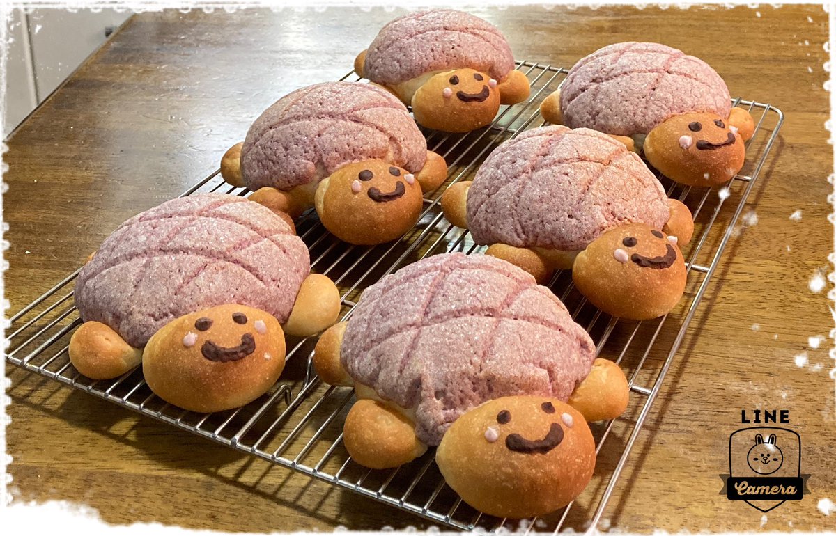 めろんぱん ♯Kti18EZカメのパン屋さん全5種メロンパン かめぱん 立花店 全