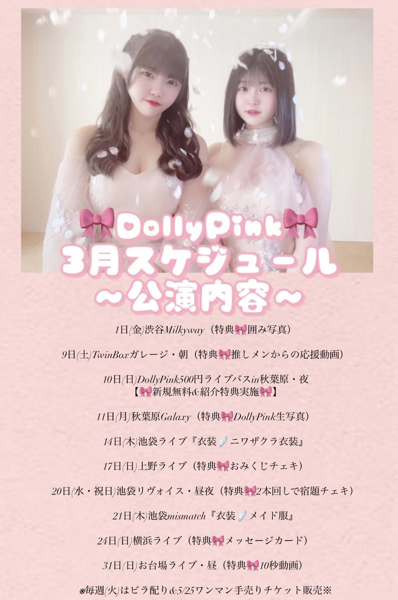 DollyPink(公式)🎀 tweet media