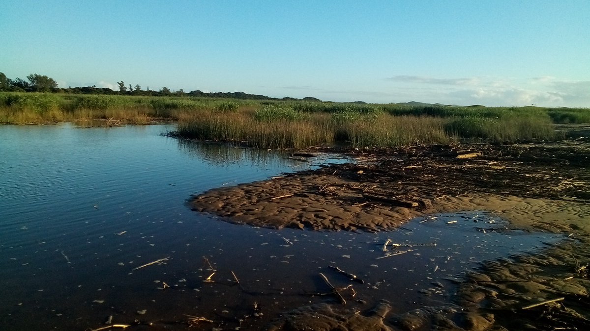 info4u2use's tweet image. #EEAT or the single variable that determines #SemanticConnectedness is confusing coz it is usually hidden in different ways, then also mostly disguised as other stuff. EEAT is really a powerful #SEOVI (Search Engine Optimization Value Indicator that has influences in many places.