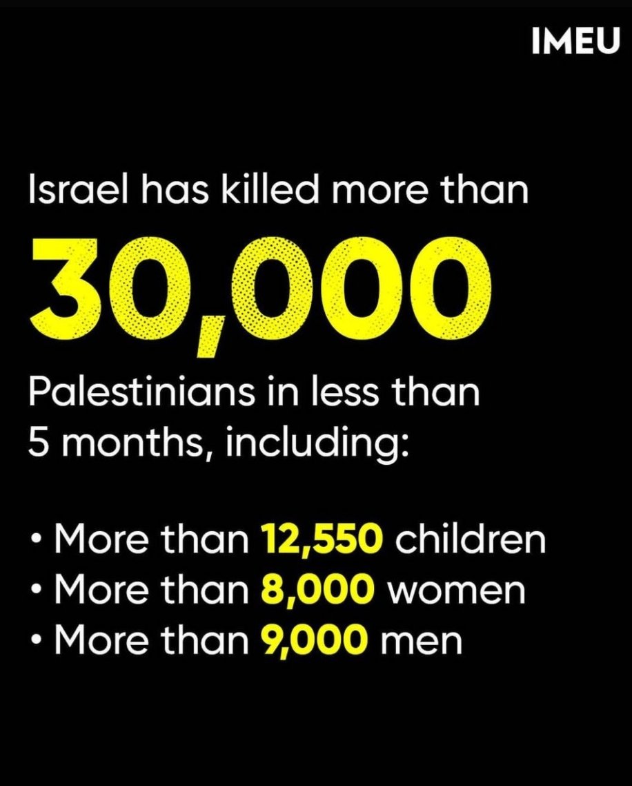 TIMES OF GAZA tweet media