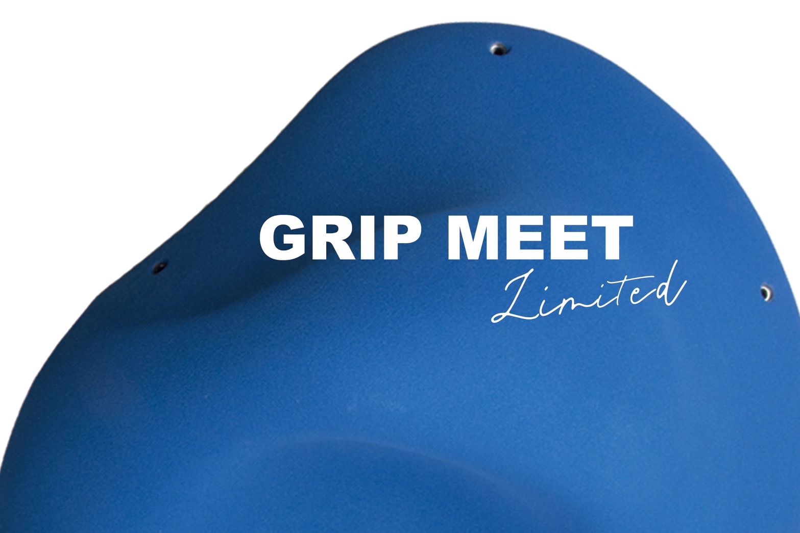 ☆ホールド ホッチホールド本体込み! クライミング・ホールド