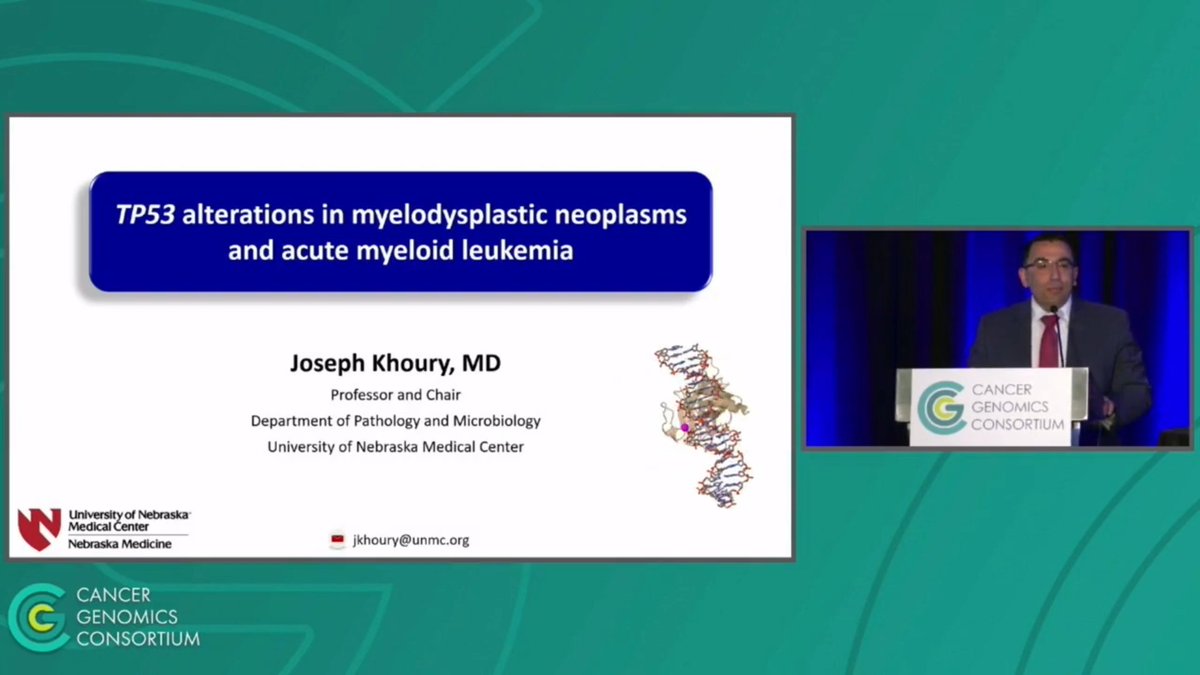 🔬 Join @JoeKhouryMD for an illuminating discussion on TP53 alterations in Myelodysplastic Neoplasms and Acute Myeloid Leukemia! 🧬Watch the #CGCAnnual2023 talk now & gain valuable insights that are shaping hematologic research 👉youtu.be/mzazIrv2uqU @AML #CancerResearch