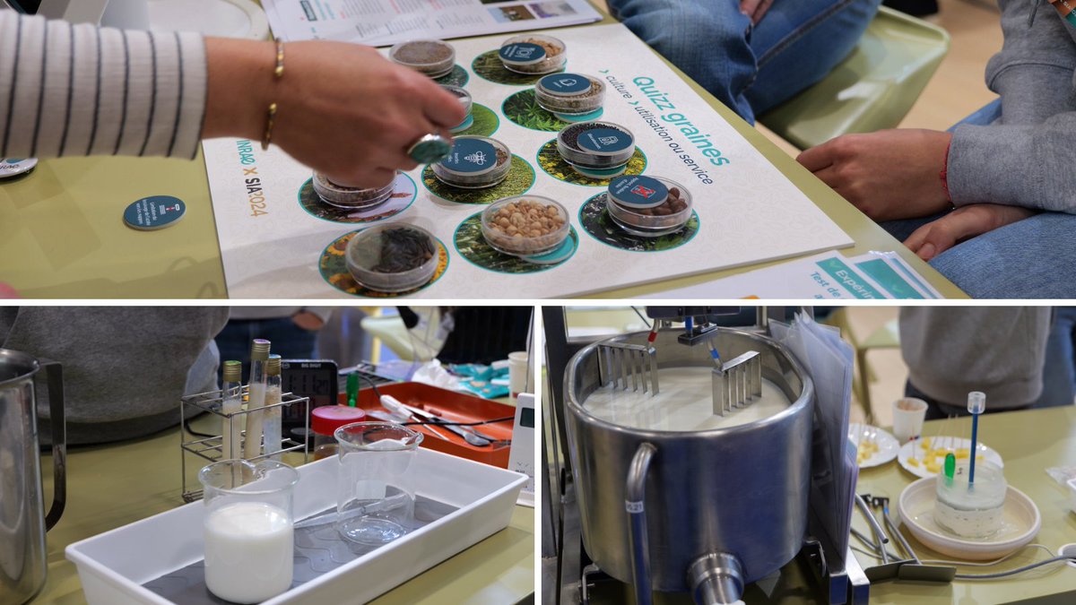#SIA2024 Nos équipes de recherche vous emmènent sur le terrain ! Derniers jours pour nous retrouver au Salon de l'Agriculture :
➡️ la mini-fromagerie expérimentale de l'UMR PAM à Poligny ​🧀
➡️le domaine expérimental d'Époisses🌱

<a href="/INRAE_France/">INRAE</a>  <a href="/CASYSdijon/">Plateforme CA-SYS</a>