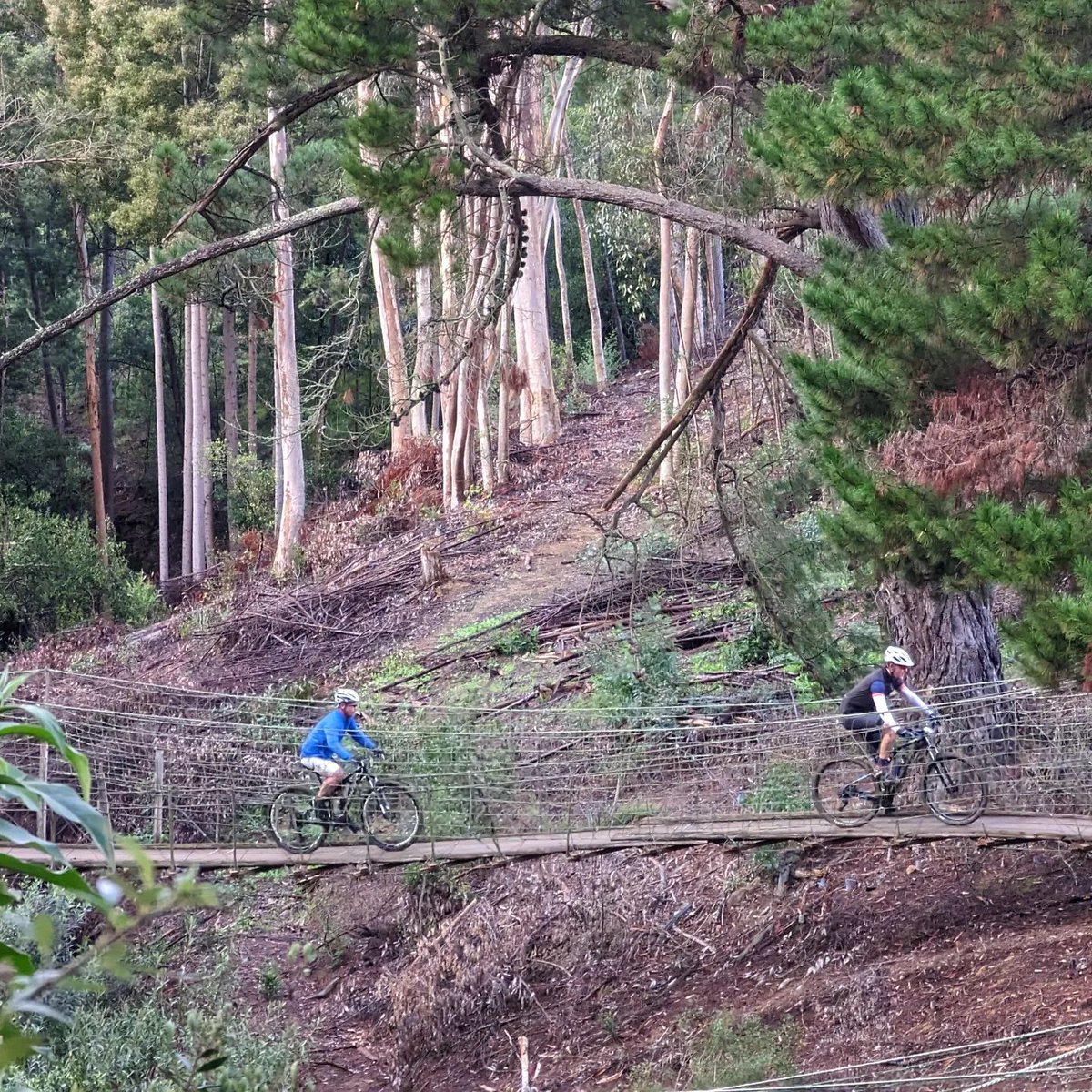 MTB Adventures 2024 Event entries are now open! tinyurl.com/2ps7thmp #mtbmag #mtb #events