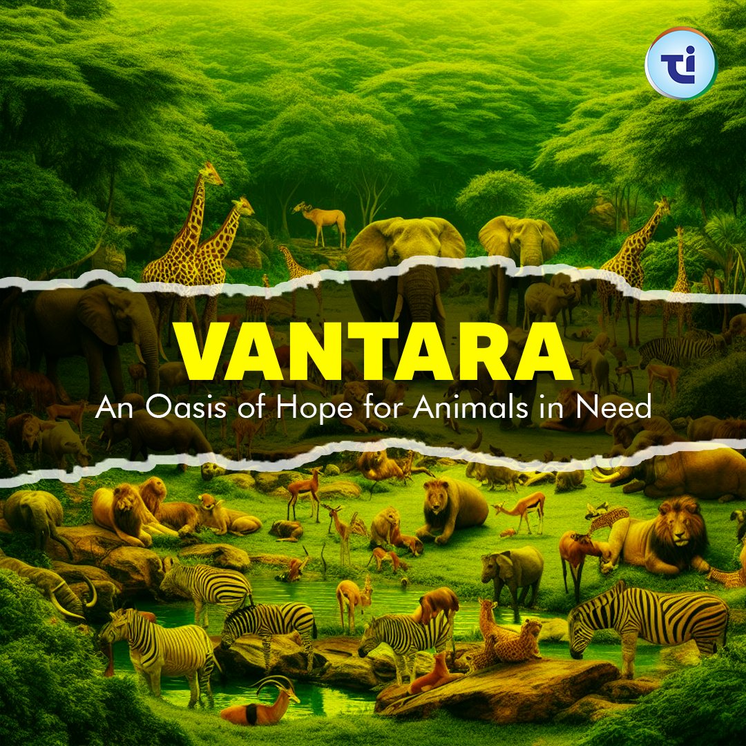 Vantara: Where Wildlife Finds Refuge Anant Ambani's dream, India's reality. Vantara rescues, treats, and rehabilitates animals in India and abroad. It is a sprawling haven for animal rescue, care, and conservation. Witness the future of wildlife rehabilitation, right here,