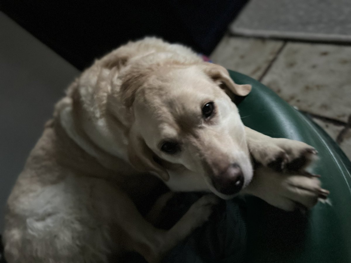 My mood reflects the weather