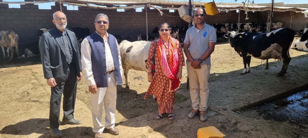 Ambassador Prakash Chand and Embassy officials visited Azeb PLC's dairy farm at Halhale yesterday. Ambassador discussed with the owners the benefits of using solar power for the new complex being developed there and the Indian companies' potential for installing the same