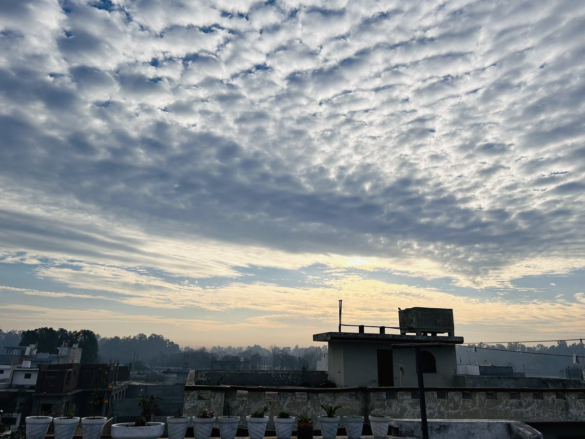 Manpreetkghuman's tweet photo. The overcast sky creates a natural canvas, allowing vibrant colors to pop, and the air feels cool and refreshing. It's a perfect backdrop for introspection and cozy moments indoors.📖📚 https://t.co/KgYvZcC6Xp