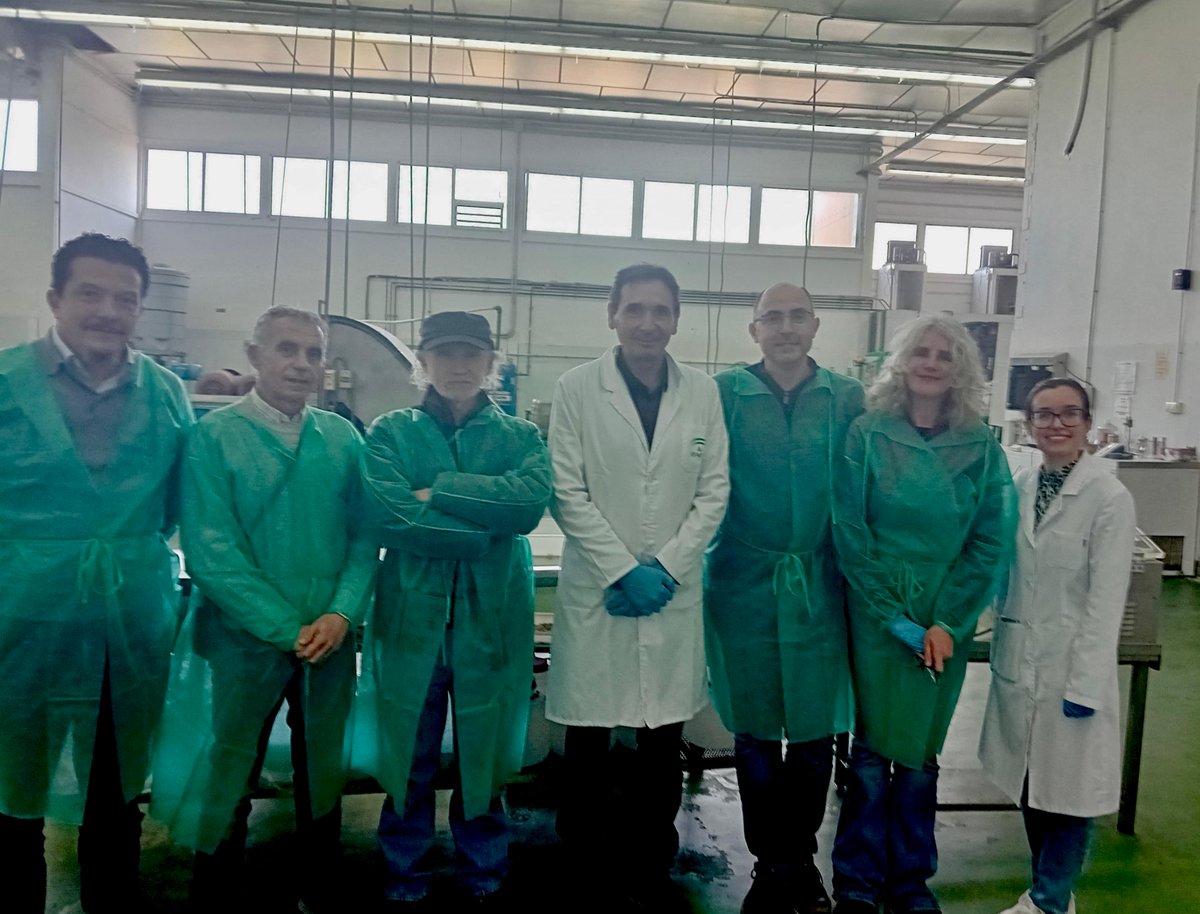 IfapaJunta's tweet image. La Plataforma Onubense de Defensa del Castañar conoce en Palma del Río las pruebas del #IFAPA para desarrollar harina de castaña🌰🔬

Se están haciendo pruebas de secado, pelado, molido y envasado de harina de #castaña para estudiar su viabilidad en nuevos aprovechamientos