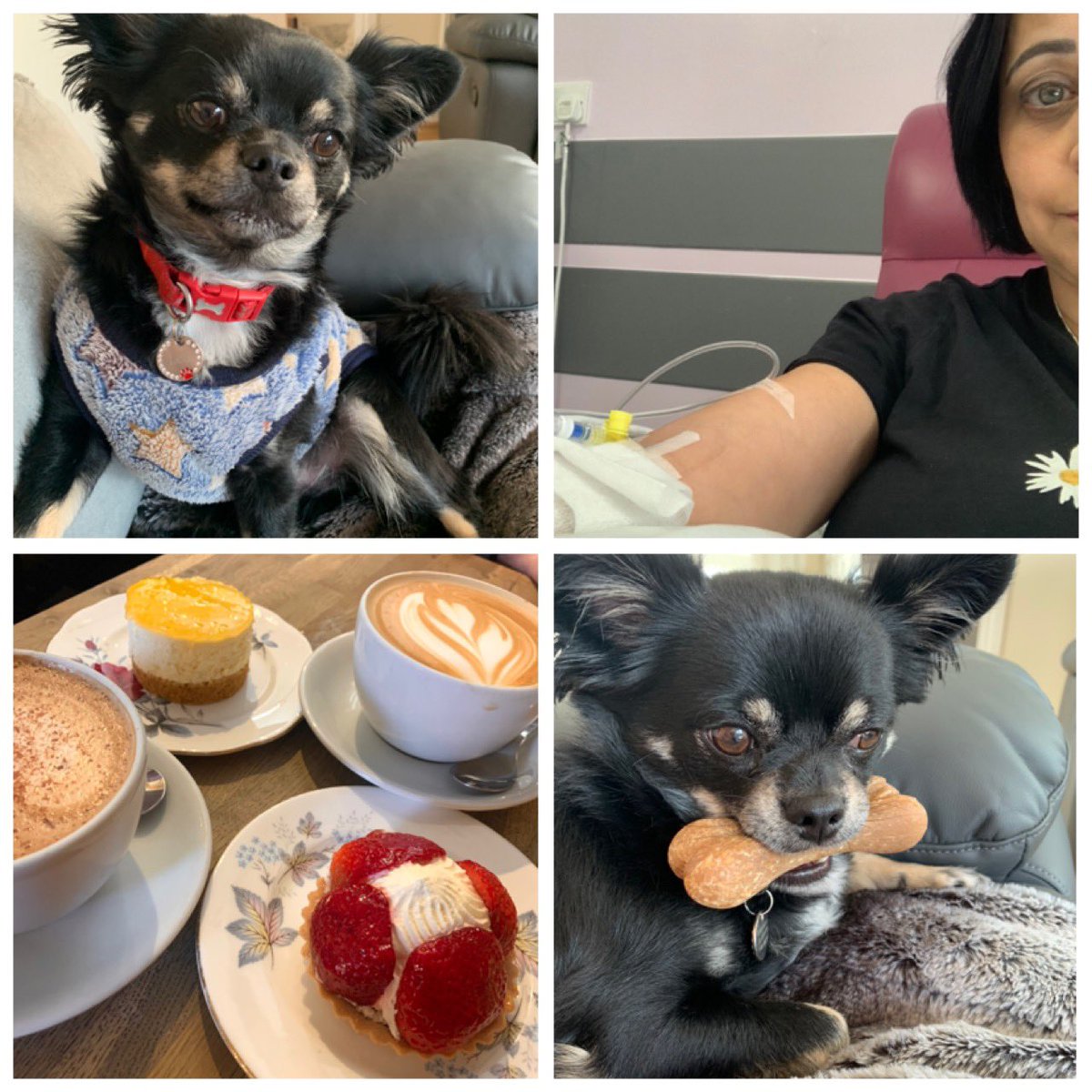 Cakes, coffee & Leo cuddles, after the purposeful & anxious visit to the chemo ward for my 4th bone infusion. Grateful for the medical care received💉Another reminder to know your body & act upon any changes! Early detection can save lives #breastcancerawareness 💪