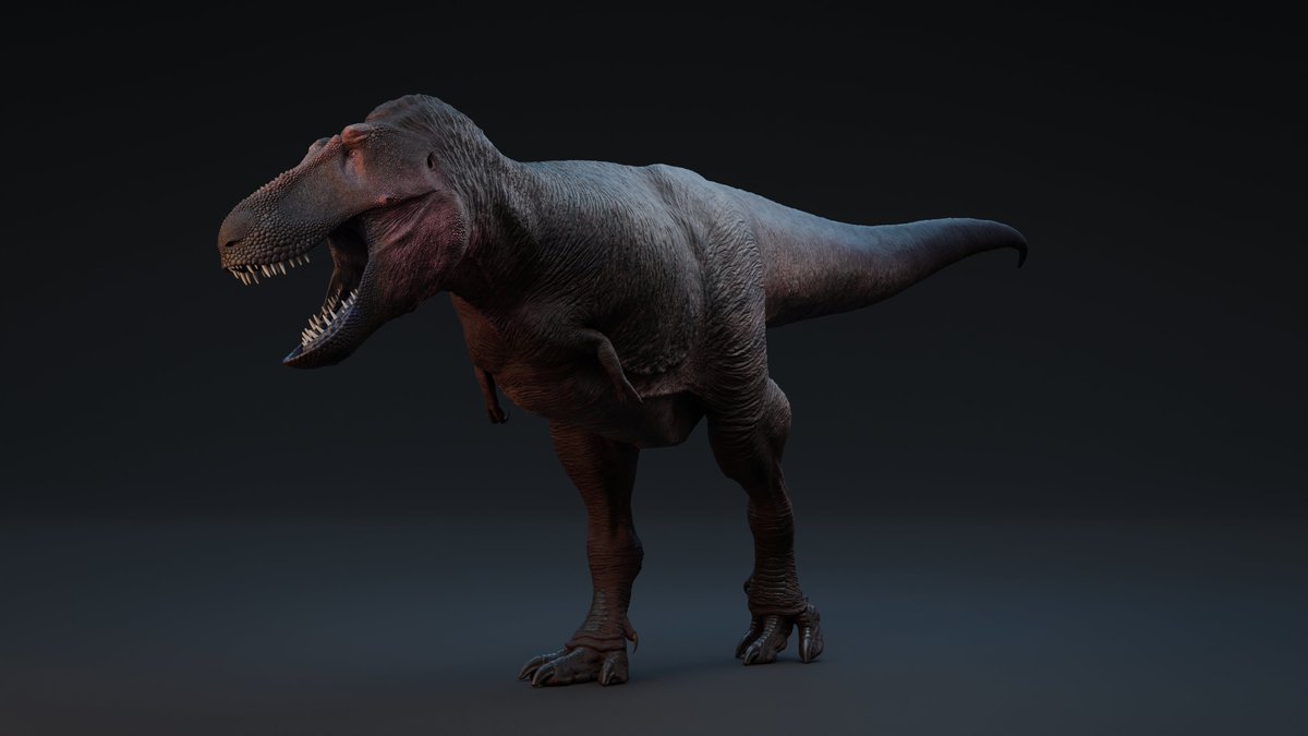 RexyMex_'s tweet image. Tyrannosaurus 3D render.