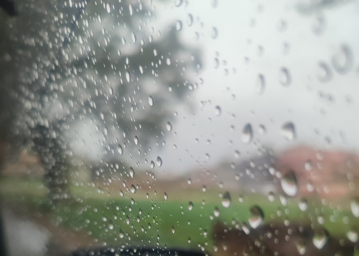 Craig Raw 🐦 tweet media