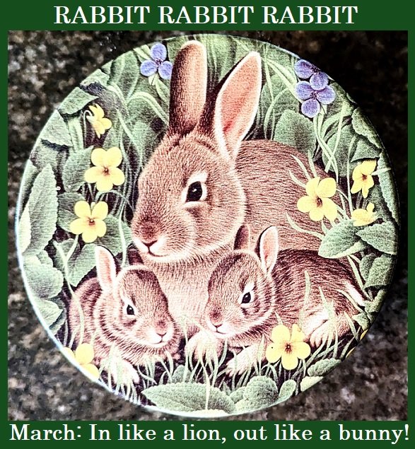 RABBIT RABBIT RABBIT On the 1st day of each month, as soon as you wake up say 'Rabbit' out loud 3 times to have good luck for the rest of the month so they say! ¯\_(ツ)_/¯ Why not, we all need a little good luck! 🍀🐇☘️🐰🍀🐇 #RabbitRabbitRabbit #GoodLuck #March2024 #TwamilyTag