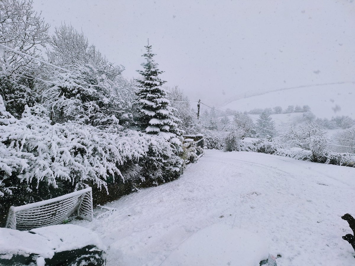 Lots of snow up here today....two dogs to right of photo having a long think about it!! #snowymountains #snowday #doggielove