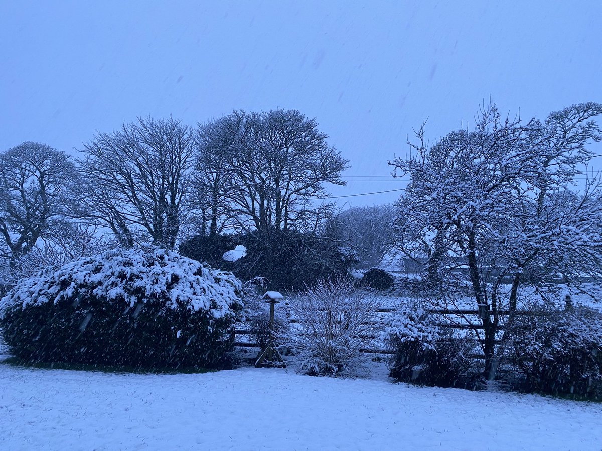 Áine Mitchell tweet media