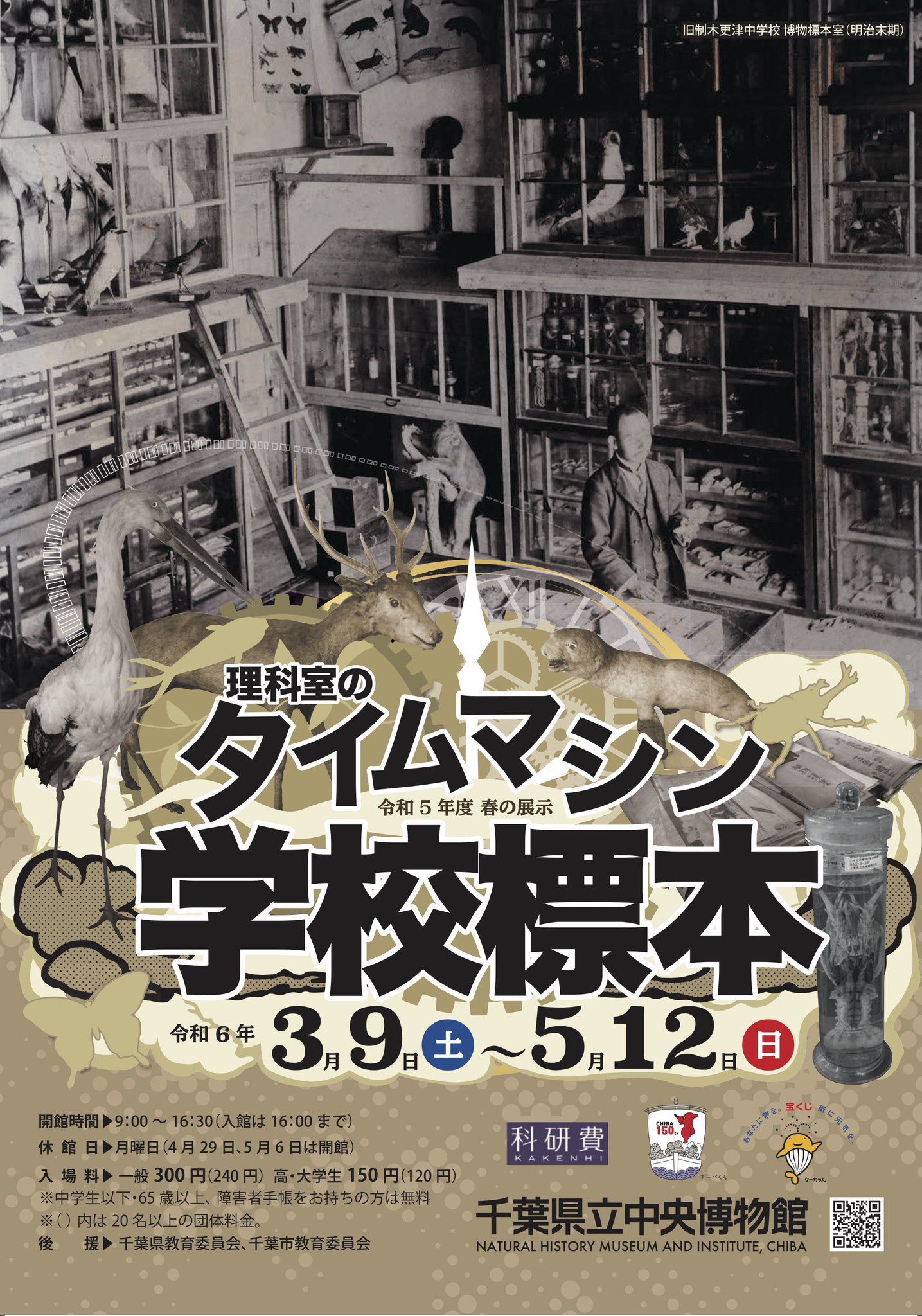 完成品 千葉県立中央博物館 on  X: 生物学