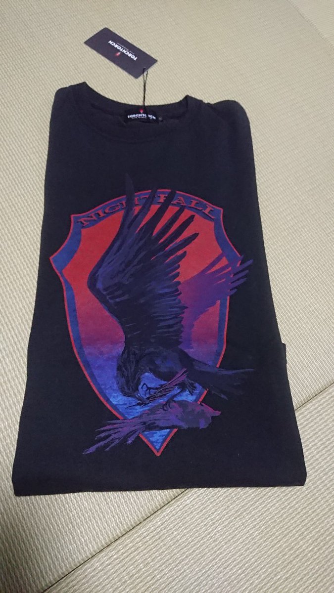 reina16344's tweet image. 本家レイヴン、ナイトフォールTシャツ届きました👍🥰😍
#AC6
#TORCHTORCH