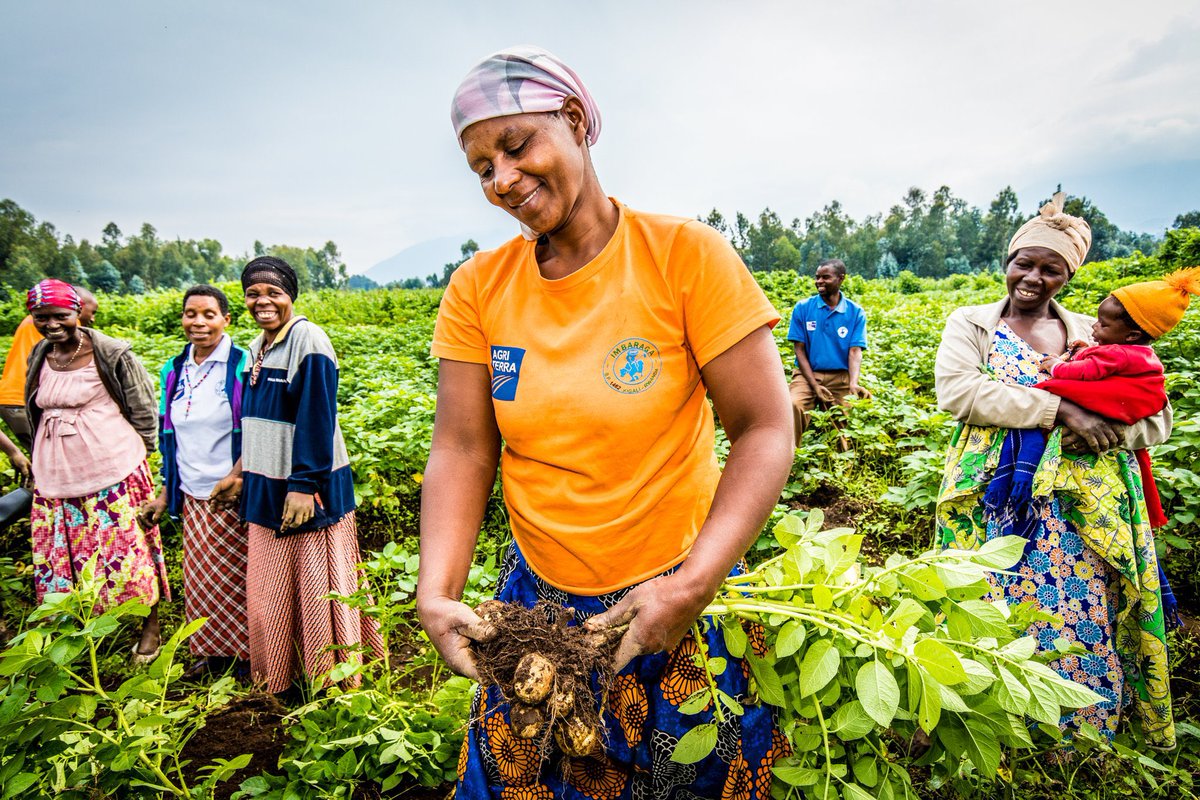 Africanwomeni10's tweet photo. “Grateful for the hands that sow, the hearts that cultivate, and the dedication that nourishes us all. Wishing our incredible farmers a bountiful and blessed Friday. Your hard work sustains the world. Thank you for feeding our communities.” @AlexisNyandwi12 https://t.co/R6qPKcBQoQ