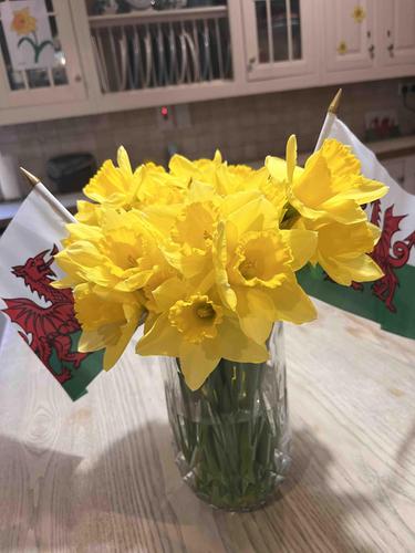 Dydd Gŵyl Dewi Hapus🏴󠁧󠁢󠁷󠁬󠁳󠁿 Happy St David’s Day!  

#adultcare #autism #learningdisabilities #supportedliving #Workwithus #ChoiceCareers #ChoicePeople #team #CareWithoutCompromise