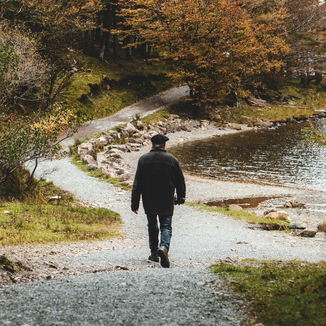 Today is the #NationalDayOfUnplugging - A day to cast away your devices and recharge your own batteries! 🔋

What better way to do this than taking a walk our in the British countryside 🥾😃