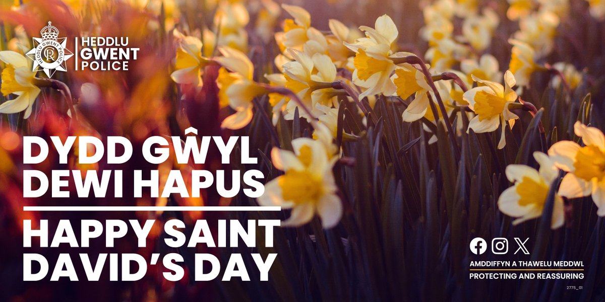 Happy St David’s Day 🏴󠁧󠁢󠁷󠁬󠁳󠁿 Today’s a day to celebrate the Welsh language and culture, and to show our pride in Wales. However you choose to mark the day, we hope that you enjoy 💛