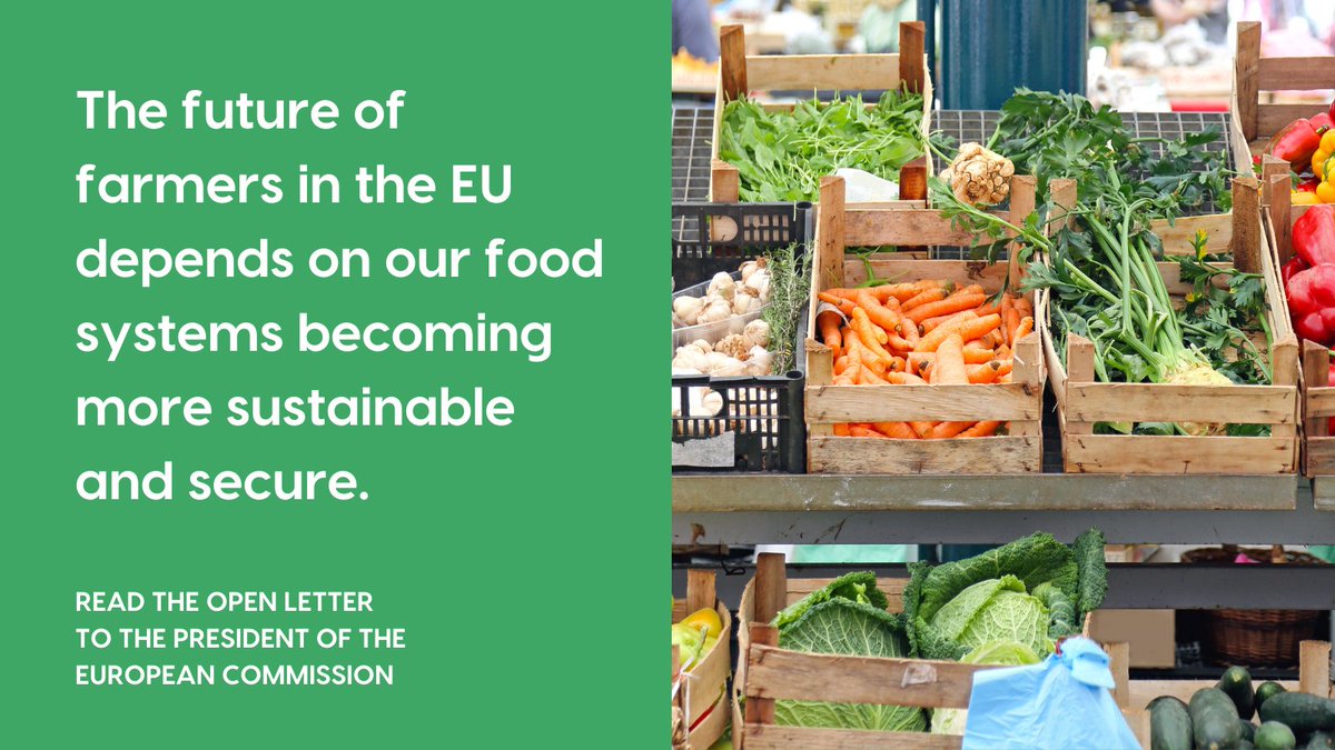 👎 The @EU_Commission's reaction to recent farmer protests in Brussels does NOT address their concerns for fairer pay + a more secure future. 👍 Shifting towards more #SustainableFoodSystems would - and this goal must be a priority for the next EC: bit.ly/49Pcim6