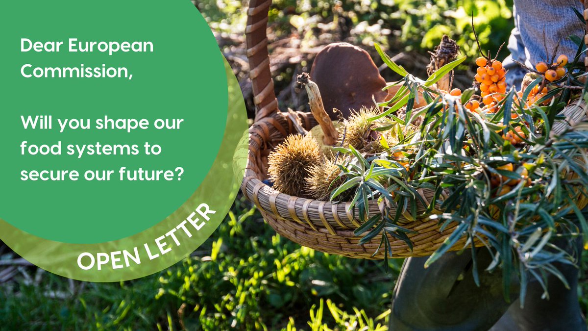🚨 OPEN LETTER We want a food and farming industry in the EU that benefits the public, supports farmers and protects future generations! Policymakers must ensure #SustainableFoodSystems are at the heart of the policies shaped by the next @EU_Commission: bit.ly/49Pcim6