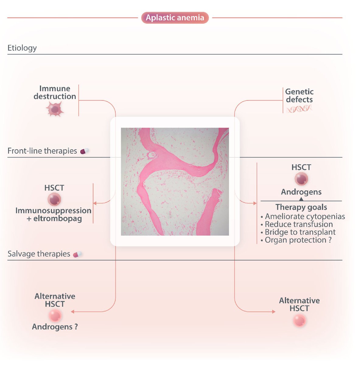 Are androgens still an option for the treatment of acquired or inherited #boneMarrowFailure? Results of the study of the largest international cohort which tracked current real-life use, indications, efficacy, toxicity, and long-term effects. haematologica.org/article/view/h…