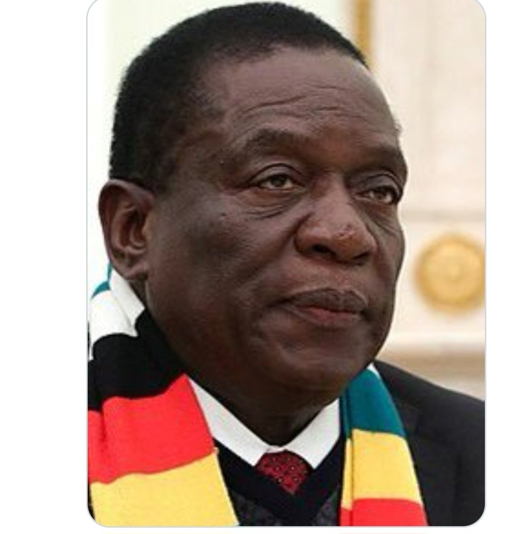 Quote this tweet with the photo yemunhu wawakamaka and tag them if they're on this platform. I will start @edmnangagwa