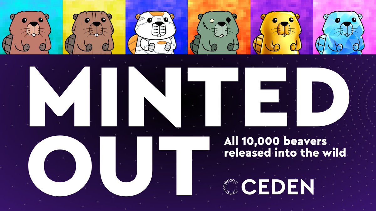 bendecrypto01's tweet photo. Beavers are alpha. 

Minted out!! 🔥🔥

Now it’s time to build! 🚀🚀 https://t.co/i90ARzH88w