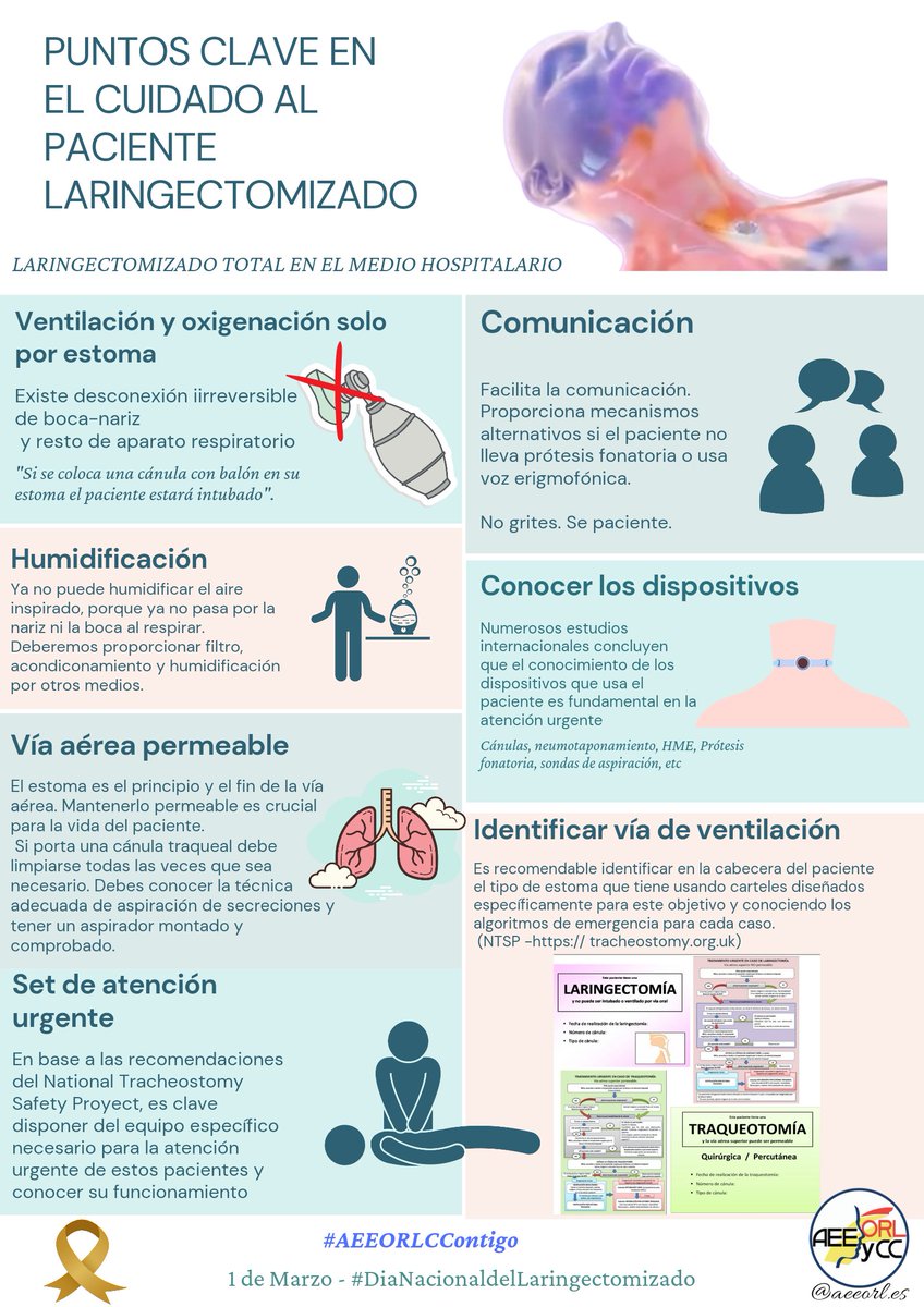 #1M
#DíaNacionalLaringectomizado 
#Remeberpost
 Puntos clave del cuidado a paciente laringectomizado en medio hospitalario.
Es imprescindible conocer los cambios irreversibles que se producen en la vía aérea del paciente en caso de RCP.
#AEEORLCContigo
#EstomaRespiratorio
#Segpac