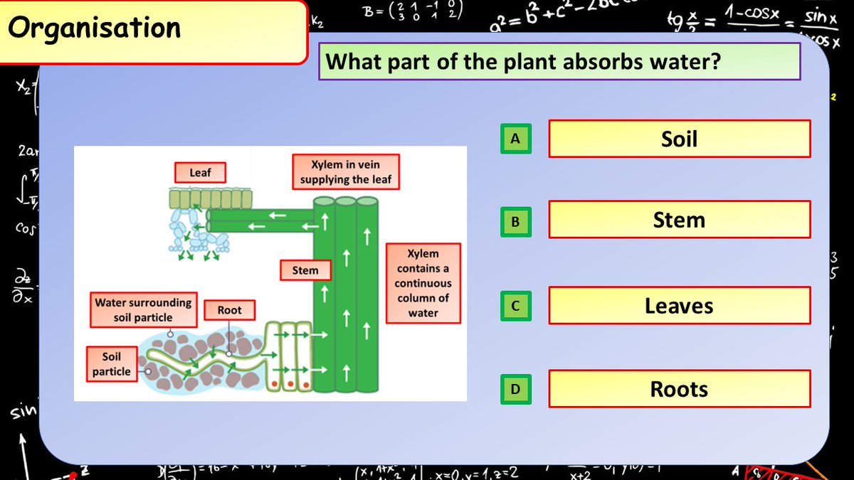 Dual processing is when students learn in 2 ways at the same time.  Here's a diagram with a question to help students do this.  #ukedchat #revision #gcse #science #nqtchat #ittchat