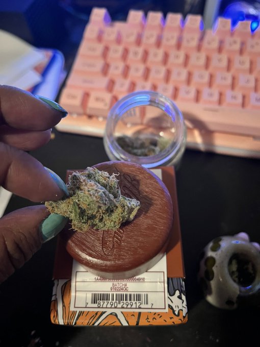 Finally home after two jobs and I&rsquo;m smoking heirbloom brand orange crush from the nice dispensary and<a href="/tag/manyvidsgaming"class="tags"><span>#manyvidsgaming</span></a>