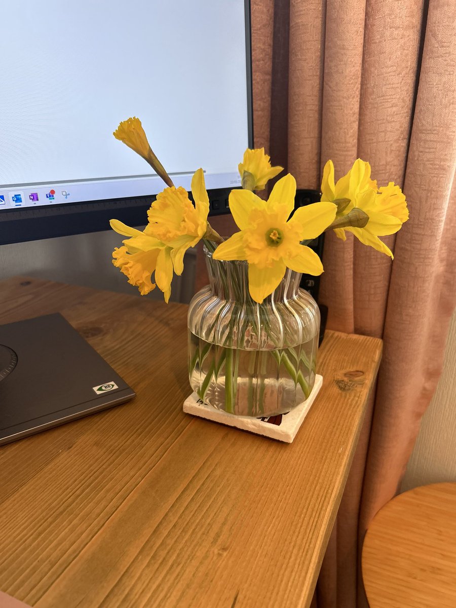 Happy St David’s Day 
Dydd Gŵyl Dewi hapus
🏴󠁧󠁢󠁷󠁬󠁳󠁿🌼