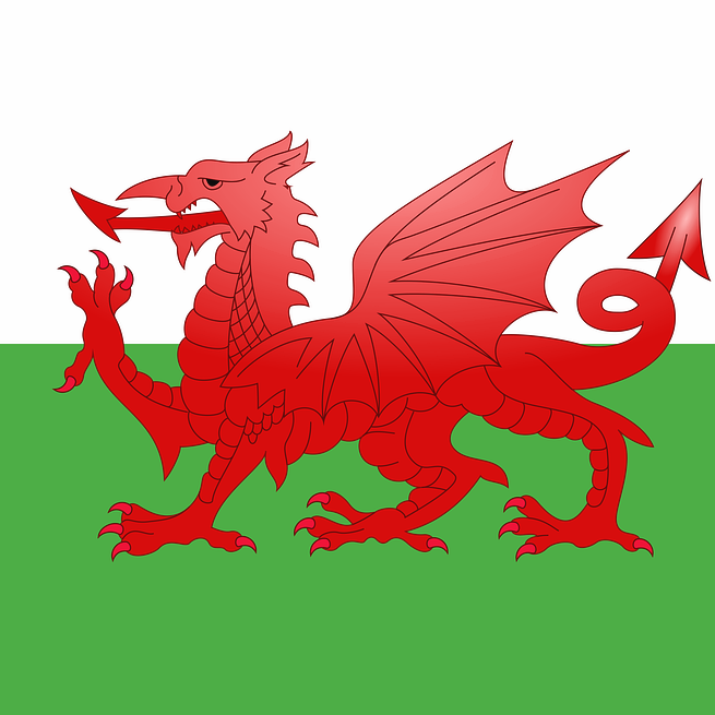 alex_dancefit's tweet photo. Happy Welsh Dragon Dayπππ²
#happystdavidsday #dyddgwyldewihapus #wales #cymru #welsh #welshdragon #welshflag #reddragon #dragon #daffodils #leeks #barabrith #welshcakes #welshrarebit #eisteddfod #thevalleys #dylanthomas #roalddahl #welshlady #snowdon #snowdonia #lovewales https://t.co/EUO2Pg528e