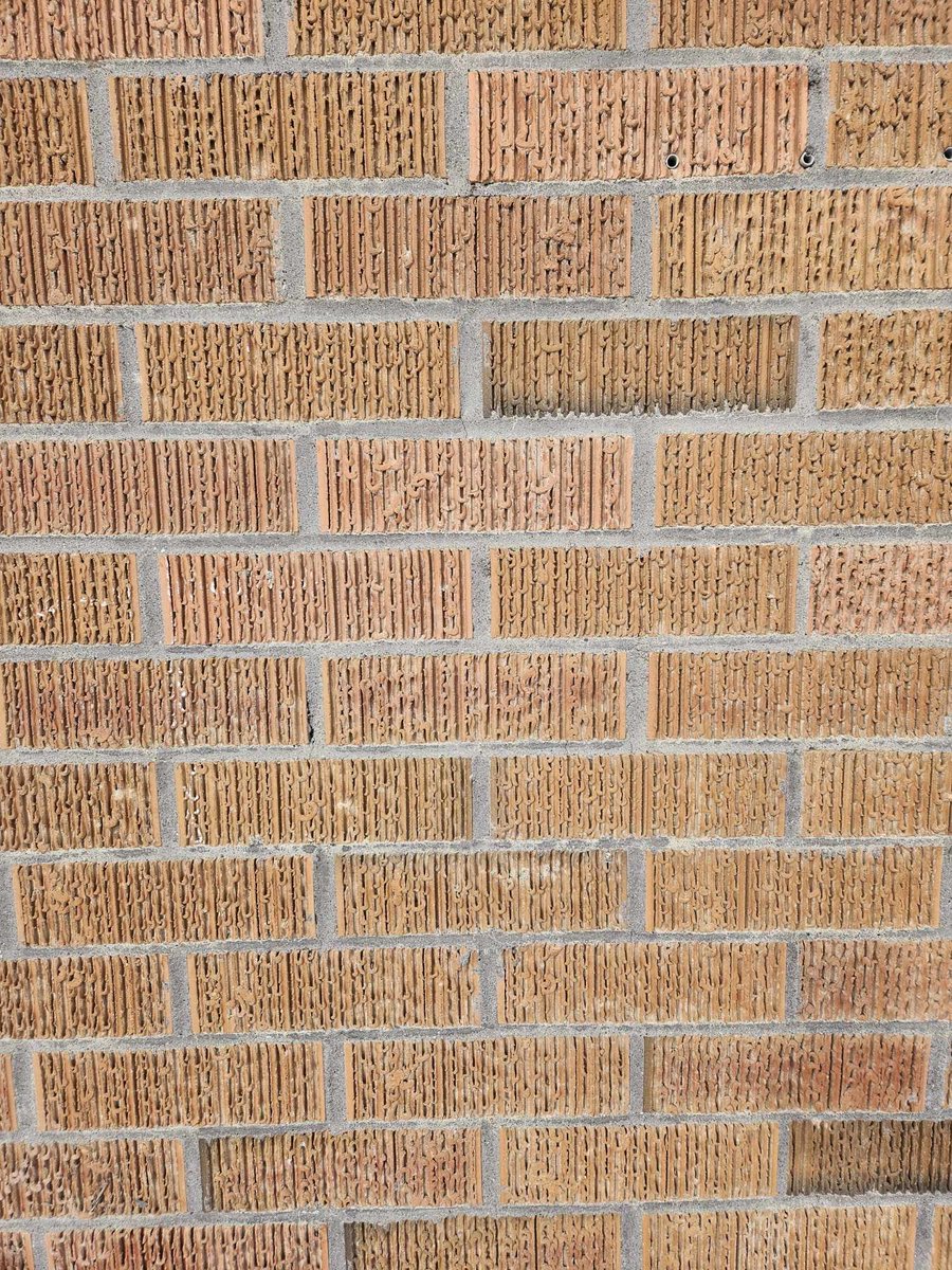 Weescientists's tweet image. This weeks wagon Wednesday was all about finding patterns in the park! We found so many. #takemeoutside #mathoutside #wearecbe