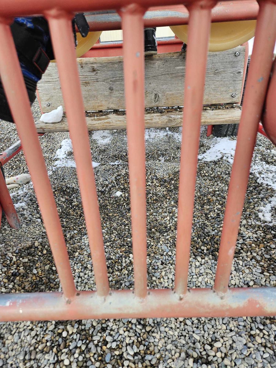 Weescientists's tweet image. This weeks wagon Wednesday was all about finding patterns in the park! We found so many. #takemeoutside #mathoutside #wearecbe