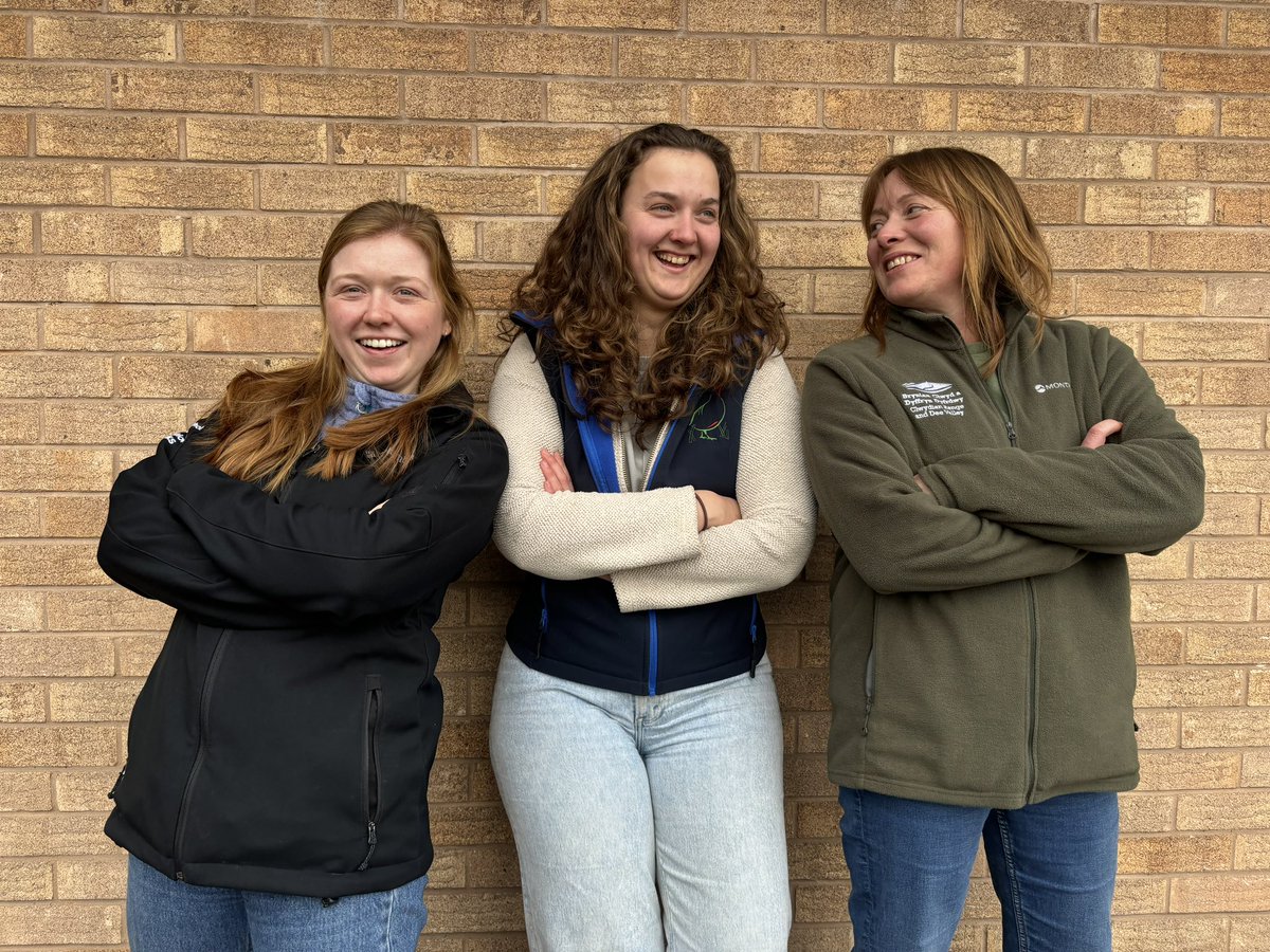 Our #CurlewConnections team getting geared up for the upcoming season. Róisín, Katie and Sam. #DreamTeam #Curlew