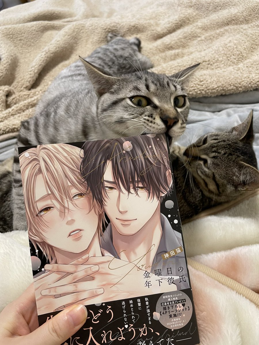 本日発売です✨
よろしくお願い致します！